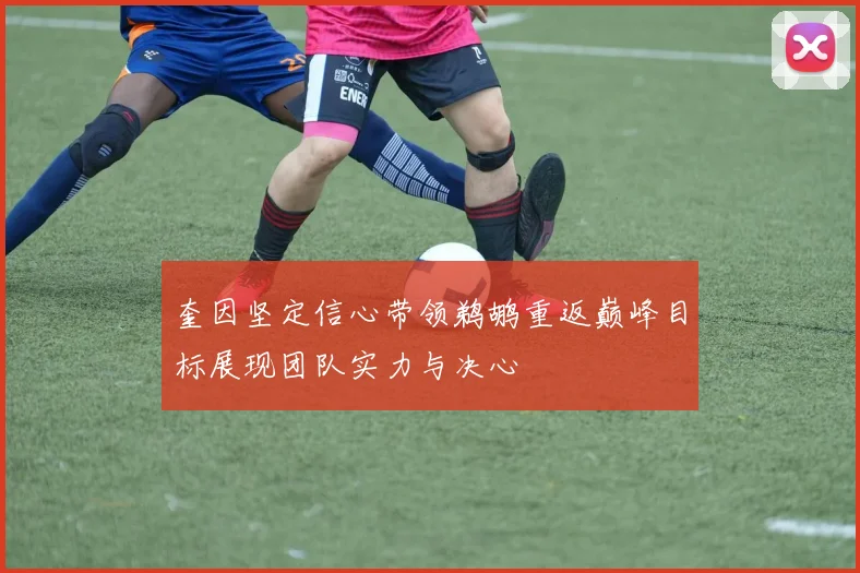 奎因坚定信心带领鹈鹕重返巅峰目标展现团队实力与决心