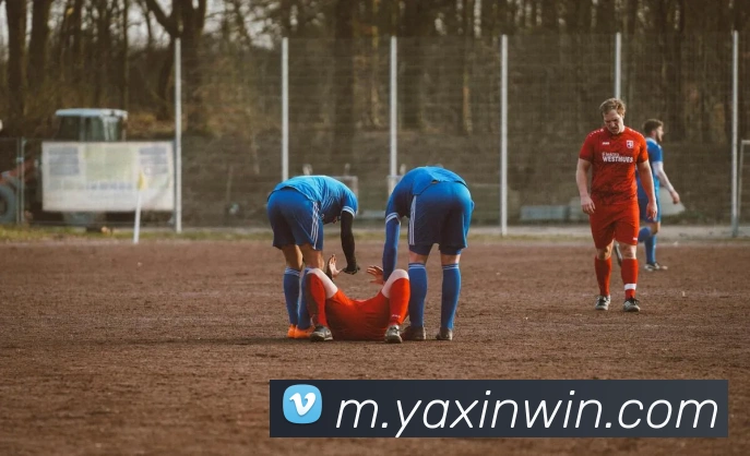 App Interface Preview