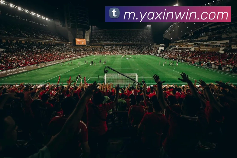 亚新体育APP 封面图